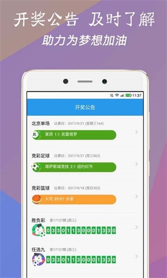 澳門今一必中一肖一碼一肖，揭秘彩票背后的秘密與策略，揭秘彩票背后的秘密與策略，澳門今一必中一肖一碼一肖探秘