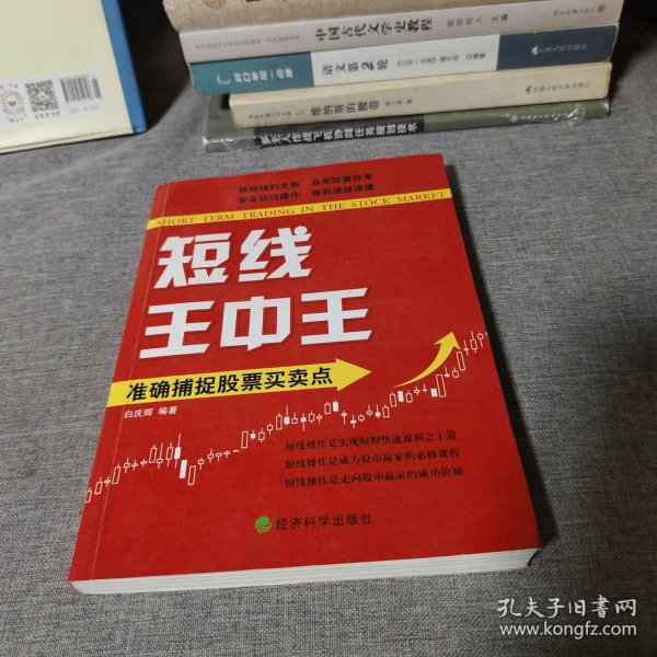 王中王平特一肖中的奧秘與探索，王中王平特一肖的奧秘與探索之旅