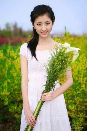 新澳門(mén)生肖走勢(shì)圖精準(zhǔn)版，解讀與SEO策略，新澳門(mén)生肖走勢(shì)圖精準(zhǔn)解讀與SEO策略揭秘