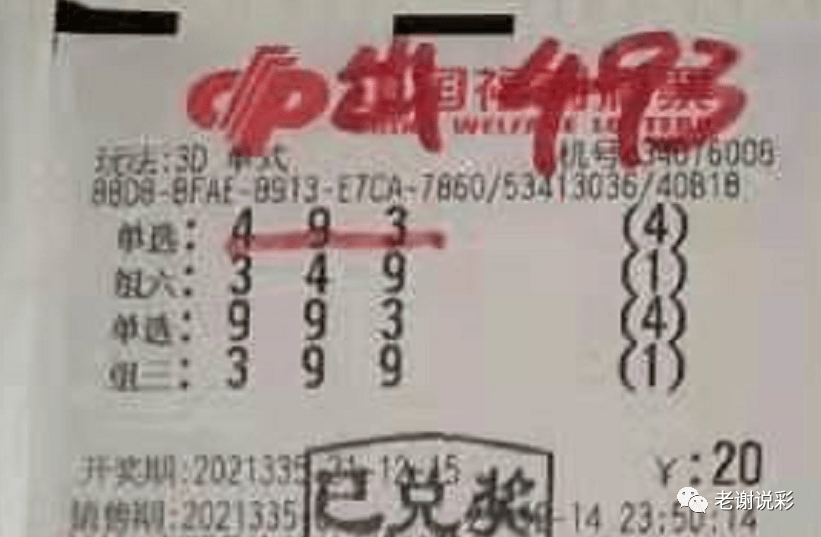 新奧門(mén)彩天天開(kāi)獎(jiǎng)資料一網(wǎng)羅萬(wàn)象，揭秘彩票奧秘，揭秘彩票奧秘，新奧門(mén)彩天天開(kāi)獎(jiǎng)資料一網(wǎng)羅萬(wàn)象