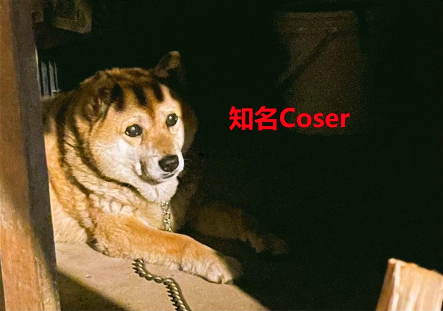 豬狗同行王中王，猜一肖，深度解析與SEO優(yōu)化，豬狗同行王中王猜謎解析與SEO優(yōu)化技巧，深度解析揭秘生肖之謎