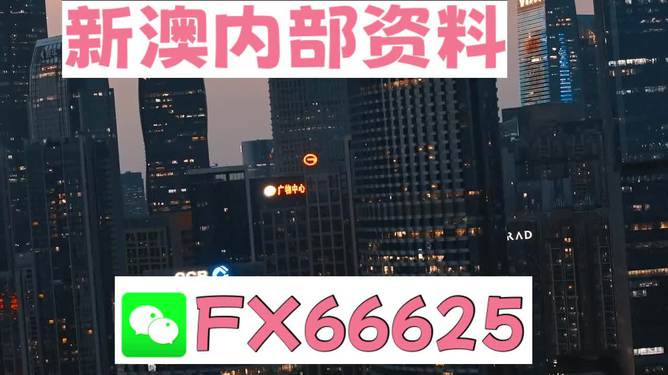 澳門跑狗，探索與解析，澳門跑狗，探索與解析之道