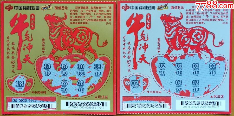 王中王19期指一生肖——探尋背后的奧秘與意義，王中王19期指一生肖，背后的奧秘與意義探尋