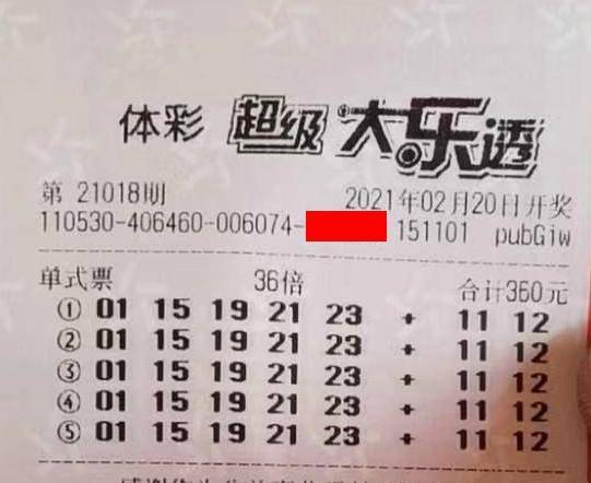 王中王018期指一生肖，揭秘背后的奧秘與意義，揭秘生肖奧秘，王中王生肖背后的意義與秘密