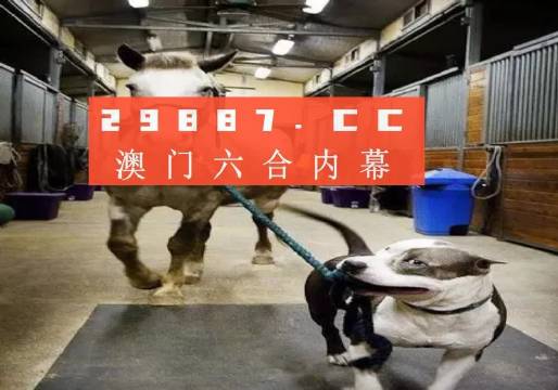 澳門一肖一碼一必中一肖，同舟前進的奧秘與策略，澳門一肖一碼必中策略與前進奧秘，同舟共濟的揭秘與策略