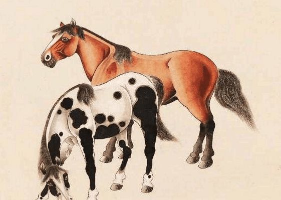馬一王中王特平一肖圖，深度解析與SEO優(yōu)化策略，深度解析馬一王中王特平肖圖，SEO優(yōu)化策略探討