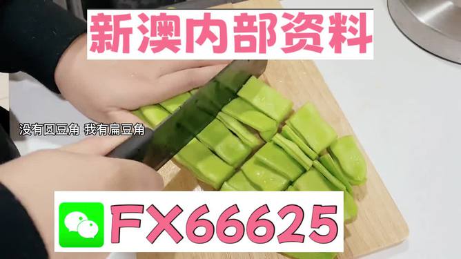 新澳精選資料免費(fèi)提供，探索優(yōu)質(zhì)資源的海洋，新澳精選資料免費(fèi)探索，優(yōu)質(zhì)資源海洋的開啟