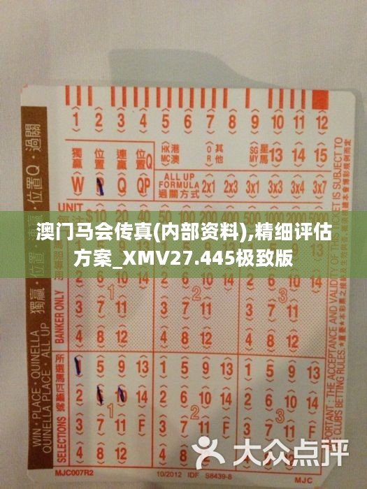 馬會傳真正版，探索正版馬會文化的魅力與價值，正版馬會文化的魅力與價值探索