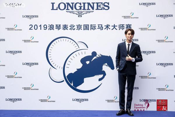 王中王一肖精準，深度解析與策略探討，王中王一肖精準解析與策略深度探討
