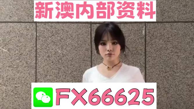 澳門正版資料大全完整版，探索與揭秘2025年澳門正版資料的世界，澳門正版資料大全揭秘，探索未來(lái)至2025年的奧秘世界