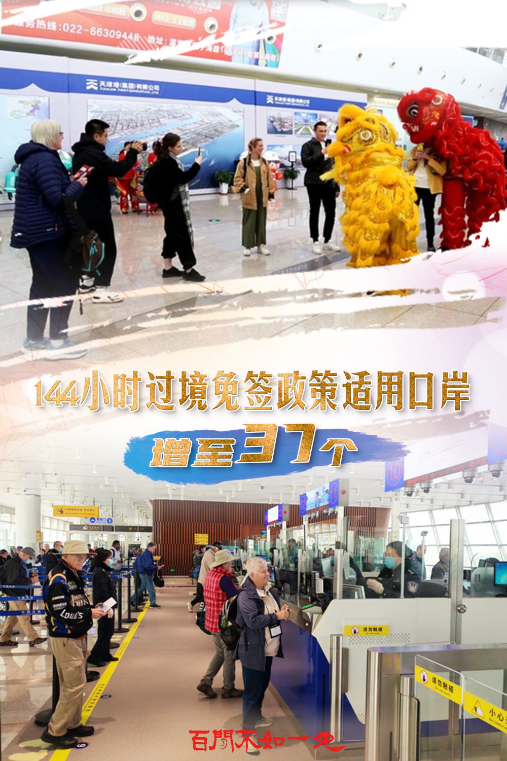 揭秘王中王，一碼一肖一特一中背后的故事，揭秘王中王背后的故事，一碼一肖一特一中傳奇揭秘