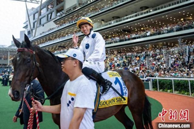香港特馬王資料免費公開，揭秘背后的秘密，香港特馬王資料揭秘，免費公開背后的秘密