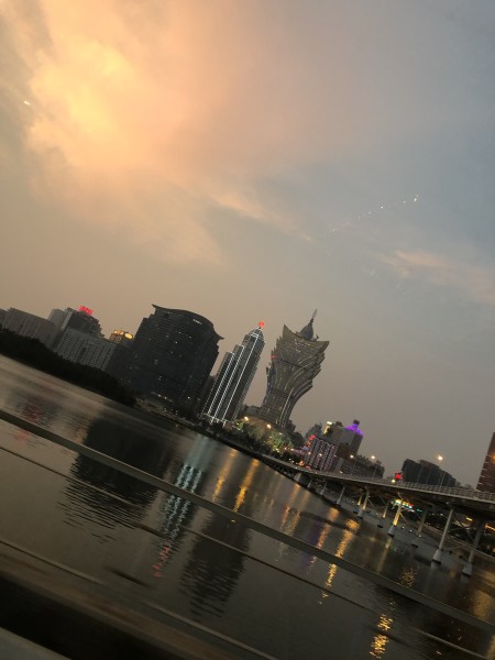澳門今晚必開一肖一特，深度解析與預(yù)測，澳門今晚生肖特碼深度解析與預(yù)測，一肖一特必開趨勢探討