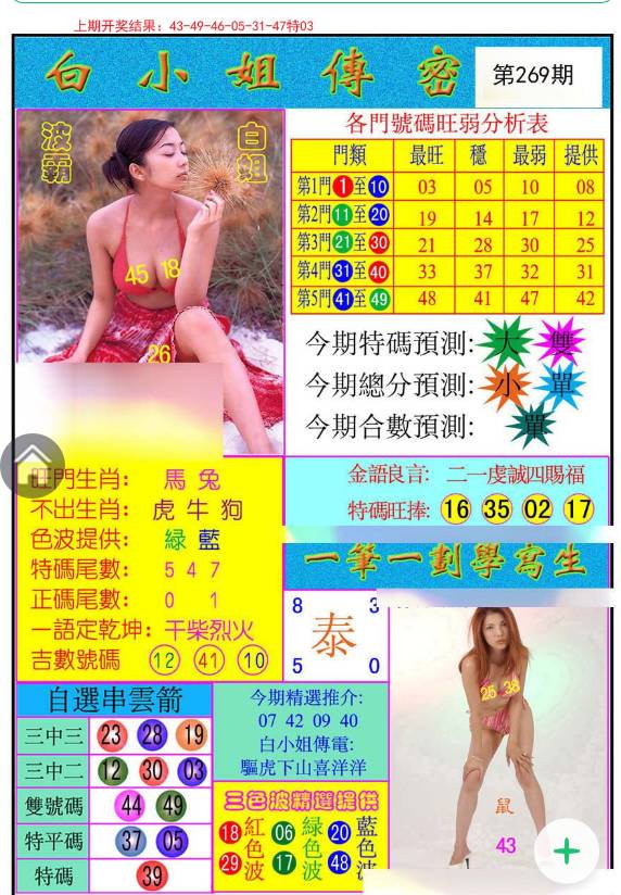 揭秘白小姐與王中王平持一肖的神秘面紗，白小姐與王中王，揭秘神秘生肖預(yù)測(cè)面紗