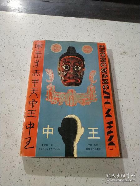 王中王資料與肖中特，深度解析，王中王資料與肖中特深度剖析
