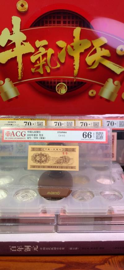 王中王廣東一肖，探尋背后的故事與奧秘，王中王廣東一肖，背后的故事與奧秘探尋