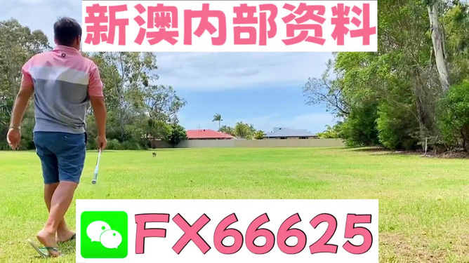 王中王兩肖一碼，揭秘背后的奧秘，王中王兩肖一碼揭秘，背后的秘密與奧秘