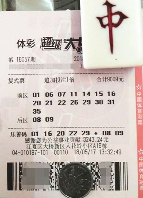 澳門六開彩天天開獎結(jié)果查詢，輕松掌握最新動態(tài)，澳門六開彩最新開獎結(jié)果查詢，輕松掌握每日動態(tài)