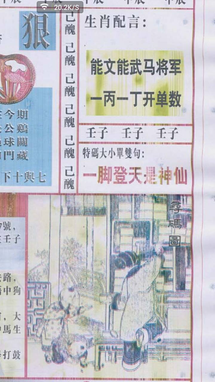 仍是王中王，揭秘生肖之王的神秘面紗——打一生肖，揭秘生肖之王，王中王的神秘面紗——生肖揭秘