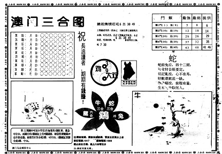 王中王資料一肖中特官婆，深度解析與SEO優(yōu)化策略，王中王資料一肖中特官婆深度解析與SEO優(yōu)化策略探討