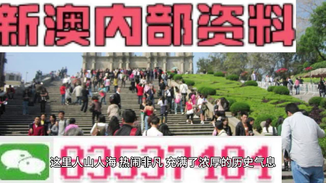 澳門最精準(zhǔn)免費(fèi)資料大全旅游團(tuán)，探索澳門之旅的完美選擇，澳門最精準(zhǔn)免費(fèi)資料大全旅游團(tuán)，探索澳門之旅的不二之選