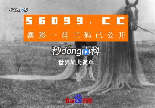 澳門(mén)一肖一碼一必中一肖舟山，揭秘彩票秘密，掌握幸運(yùn)之鑰，揭秘彩票秘密，澳門(mén)一肖一碼必中秘籍與幸運(yùn)之鑰在舟山開(kāi)啟