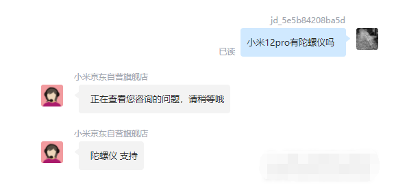 王中王一肖碼，探索關(guān)鍵詞背后的奧秘，王中王一肖碼，揭秘關(guān)鍵詞背后的奧秘