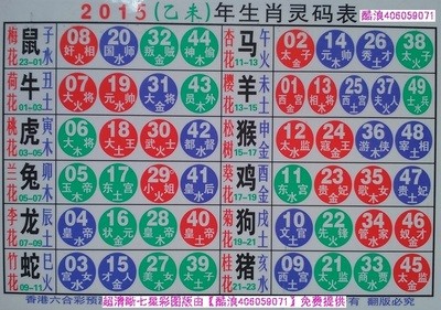 揭秘2025十二生肖與數(shù)字彩票的神奇聯(lián)系——49碼表全解析，揭秘十二生肖與數(shù)字彩票的神秘聯(lián)系，2025年49碼表深度解析