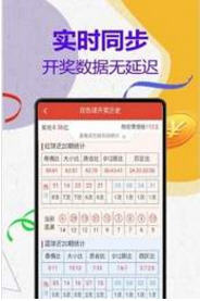 澳門王中王計(jì)劃平特一肖，揭秘與探索，澳門王中王計(jì)劃揭秘，平特一肖的秘密探索