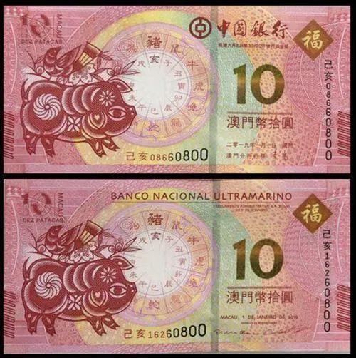 澳門天天彩期期精準(zhǔn)十二生肖預(yù)測——揭秘彩票背后的秘密，澳門天天彩期期精準(zhǔn)十二生肖預(yù)測，彩票背后的秘密大揭秘