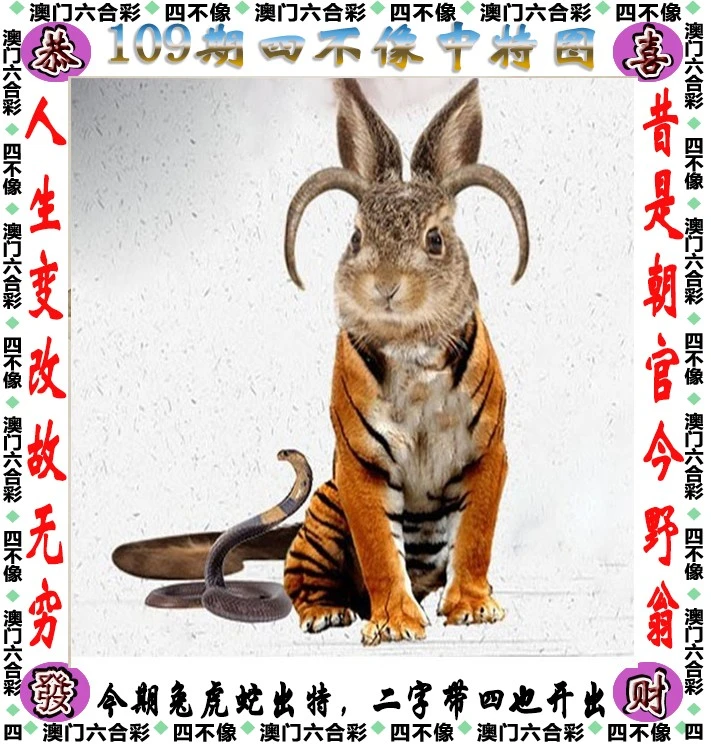 四不像王中王資料一肖，深度解析與探索，四不像王中王資料一肖，深度解析與探索揭秘