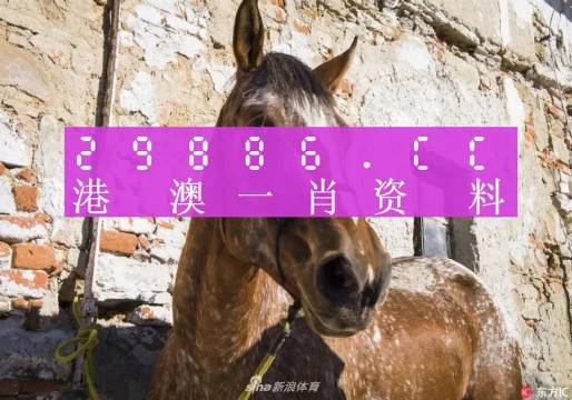 王中王資料一門肖中，深度解析與探索，王中王資料一門肖詳解，深度解析與探索