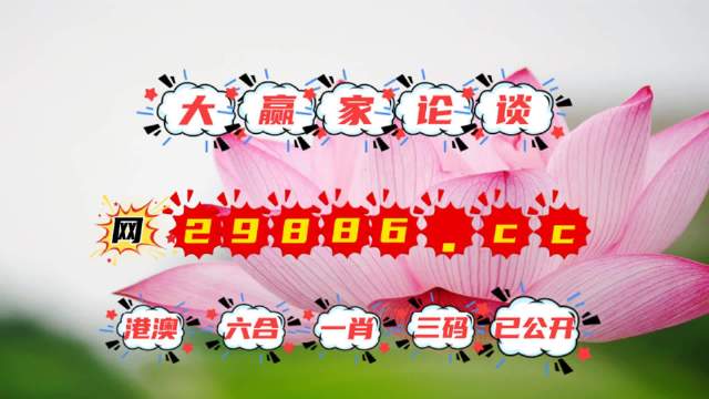 王中王資料提供一肖中特，深度解析與SEO優(yōu)化策略，王中王資料揭秘，一肖中特深度解析與SEO優(yōu)化策略全攻略