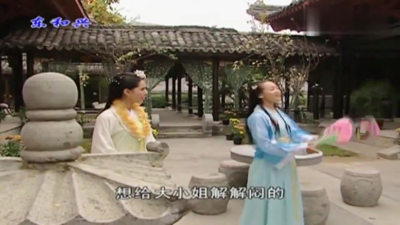 劉伯溫白小姐一肖期期準(zhǔn)，神秘預(yù)測(cè)背后的真相，劉伯溫白小姐生肖預(yù)測(cè)揭秘，神秘預(yù)測(cè)背后的真相