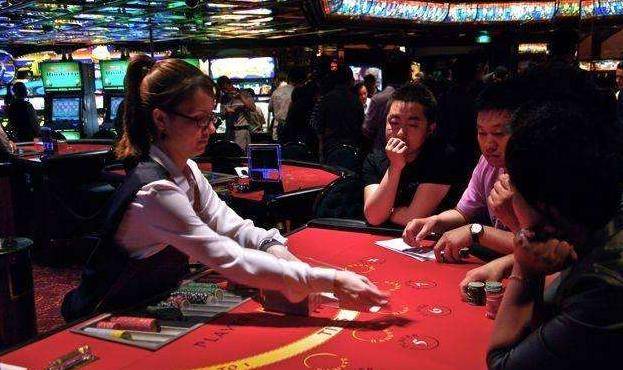 澳門金牛王中王一肖，探索背后的神秘與魅力，澳門金牛王中王一肖，神秘魅力背后的探索