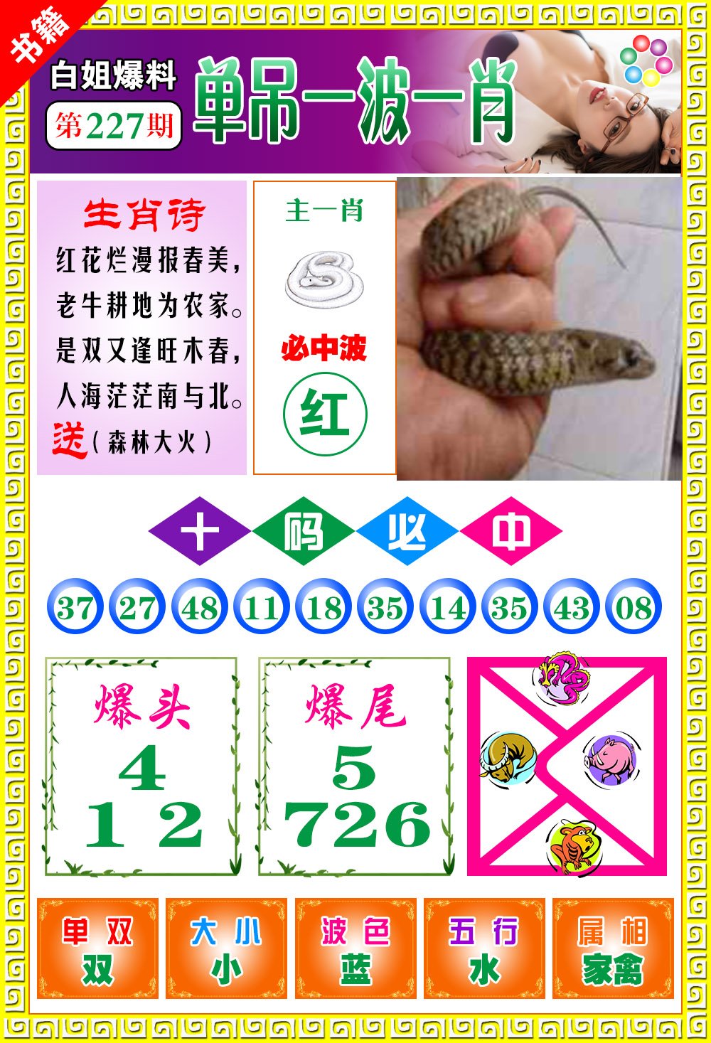 王中王免費一肖開獎，揭秘彩票背后的秘密，揭秘彩票背后的秘密，王中王免費一肖開獎探秘