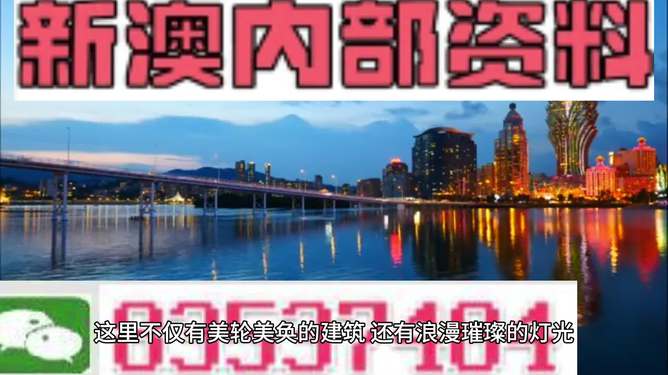 新澳新澳門正版資料，探索與解析，新澳新澳門正版資料深度解析與探索