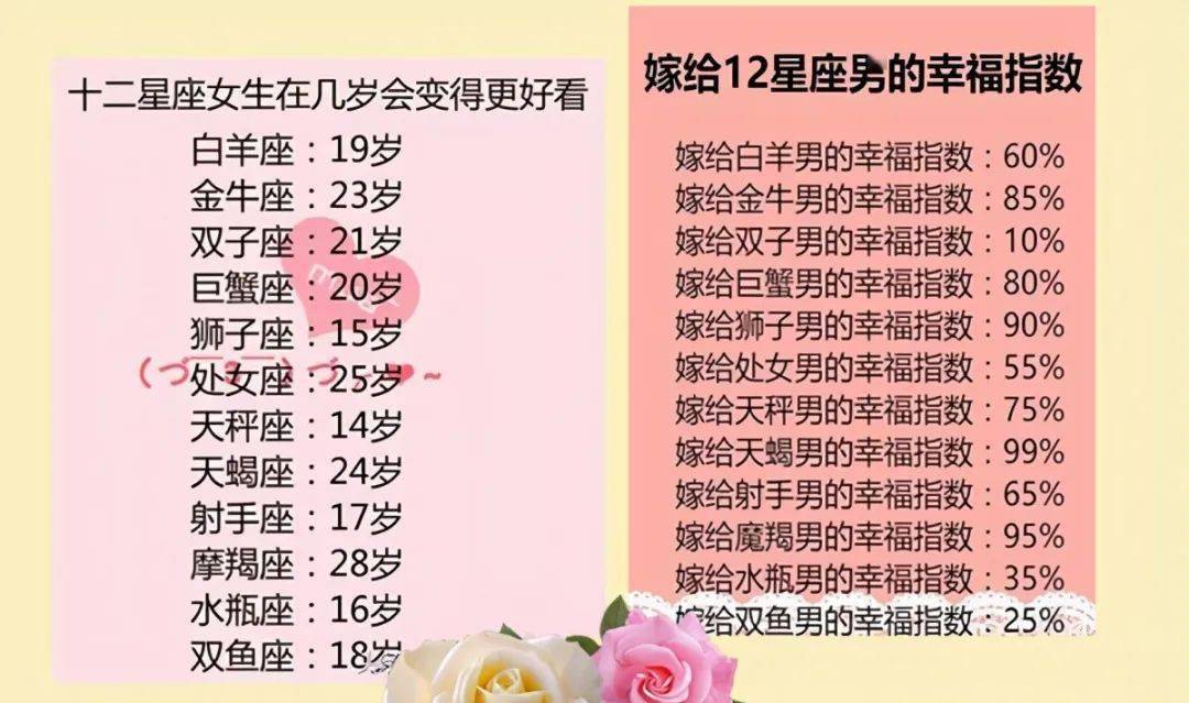 王中王十二生肖所屬之肖解析，王中王十二生肖解析揭秘