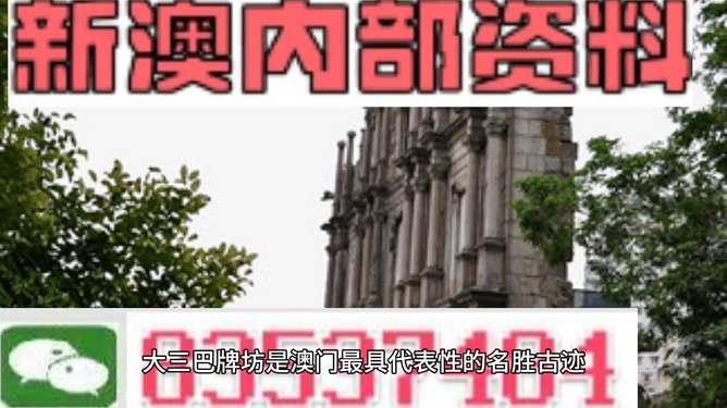 探索澳門(mén)未來(lái)，2025新澳門(mén)最精準(zhǔn)的發(fā)展方向與芳草地展望，澳門(mén)未來(lái)展望，2025精準(zhǔn)發(fā)展方向與芳草地展望的探索
