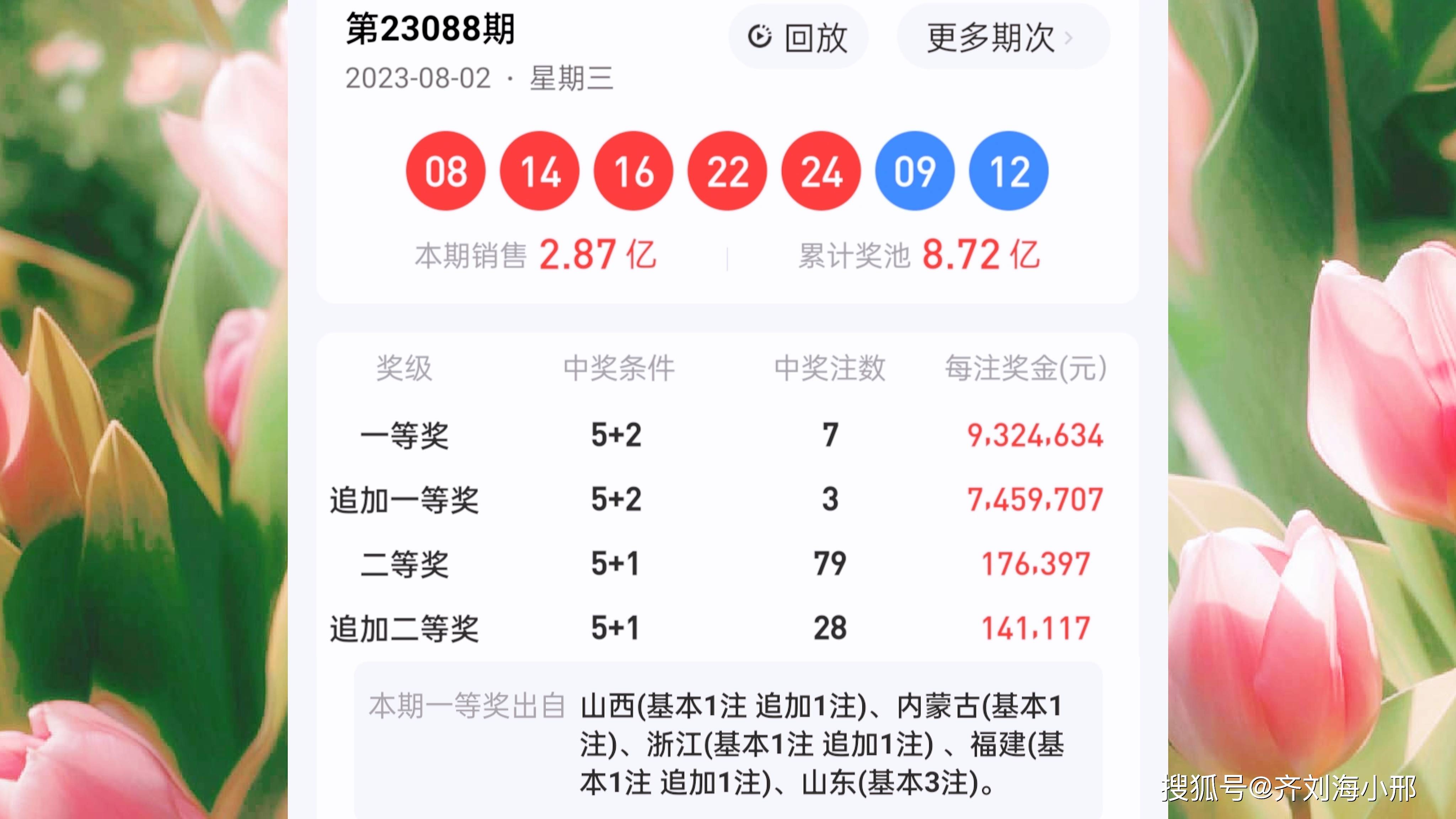 最新開(kāi)獎(jiǎng)結(jié)果揭曉，王中王與一肖中的幸運(yùn)時(shí)刻，王中王與一肖中幸運(yùn)時(shí)刻揭曉，最新開(kāi)獎(jiǎng)結(jié)果出爐