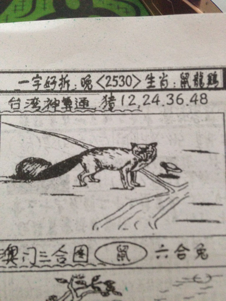 揭秘劉伯溫的生肖，一場看圖尋特之旅，揭秘劉伯溫生肖之謎，一場生肖圖片探尋之旅