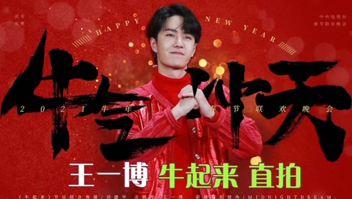 探尋王中王，揭秘發(fā)個王中王一肖中特背后的奧秘，揭秘王中王，探尋發(fā)個王中王一肖中特背后的神秘奧秘