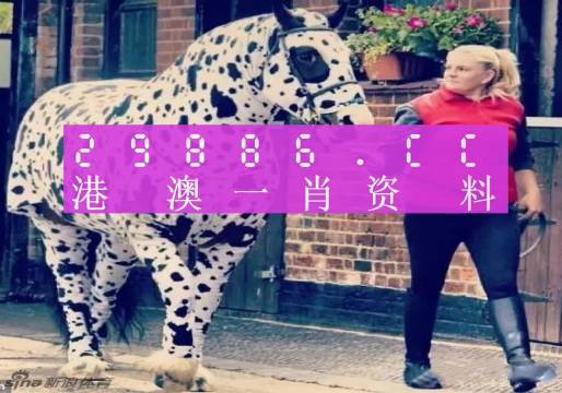 香港王中王一肖中特王，揭秘背后的故事與奧秘，揭秘香港王中王一肖中特王的背后故事與奧秘