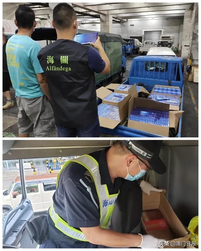 澳門今晚必開一肖080，揭秘生肖運(yùn)勢與預(yù)測之謎，澳門今晚必開一肖揭秘，生肖運(yùn)勢預(yù)測之謎開啟！