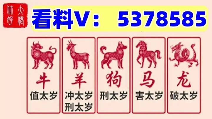 澳門馬站最快開獎(jiǎng)結(jié)果，探索與解析，澳門馬站最新開獎(jiǎng)結(jié)果解析