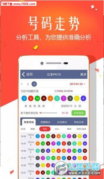 王中王四肖選一，揭秘選擇與優(yōu)化策略，王中王四肖選一，選擇與優(yōu)化策略的揭秘