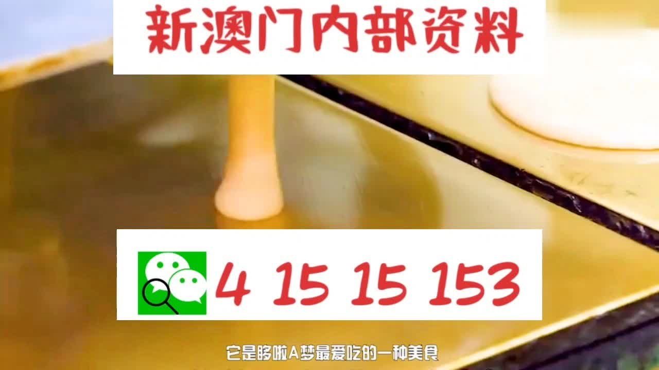 新澳門內部十碼中特，探索與解析，新澳門內部十碼中特，深度探索與解析