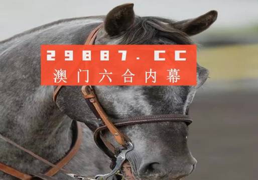 澳門一一碼一特一中準(zhǔn)選今晚，探索真實(shí)有效的選擇與策略，澳門今晚一特一中準(zhǔn)選碼，真實(shí)有效的選擇與策略探索