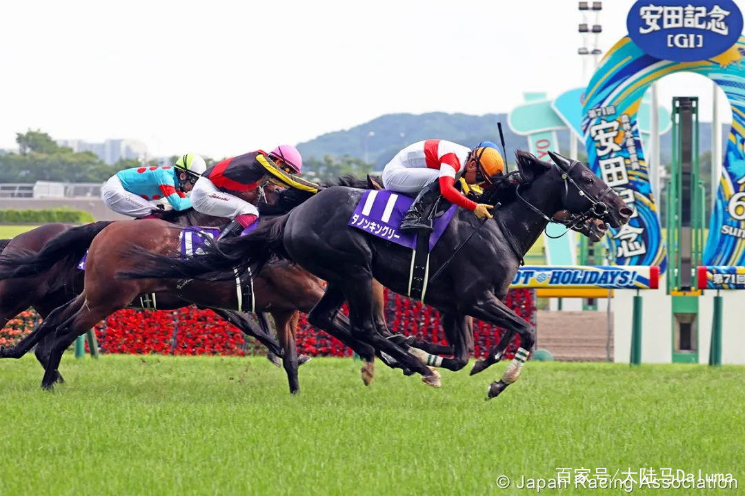 香港王中王與一馬中特肖的獨(dú)特魅力，深度解析與探索，香港王中王與一馬中特肖的獨(dú)特魅力，深度探索與解析