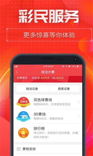 一肖二碼中特王中王——揭秘彩票背后的秘密，揭秘彩票背后的秘密，一肖二碼中特王中王的故事